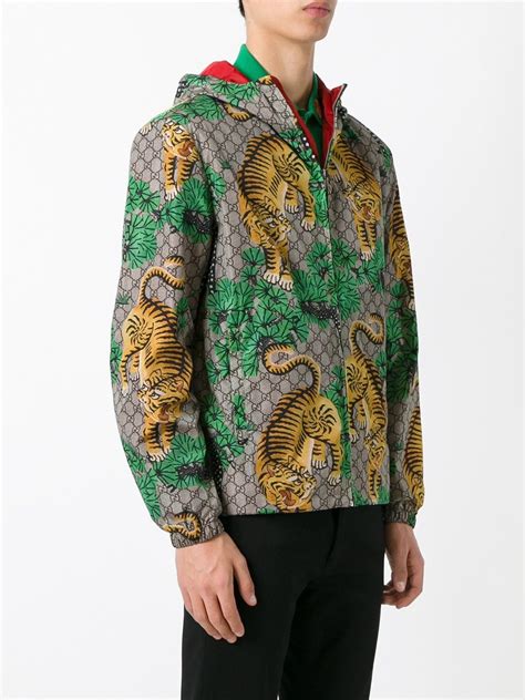 gucci tigres|Gucci tiger jacket.